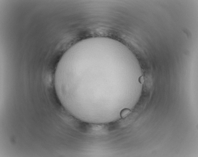 X0000115410709200911241328