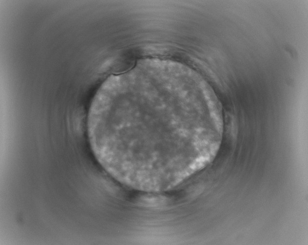 X0000115410712200911241328