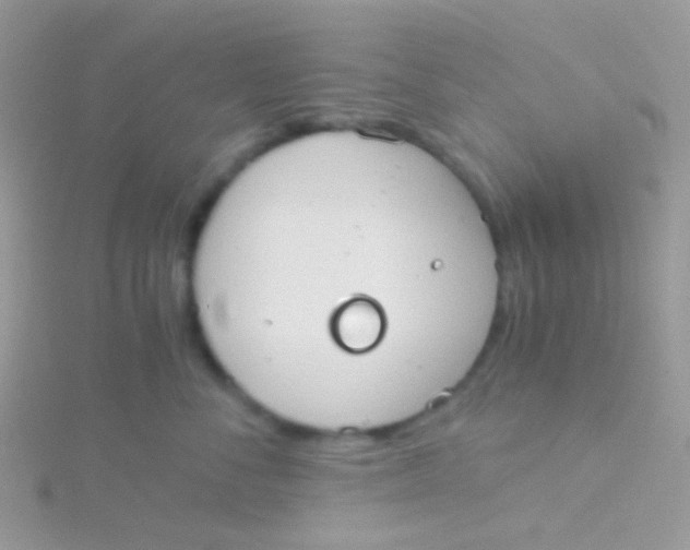 X0000115410716200911241328