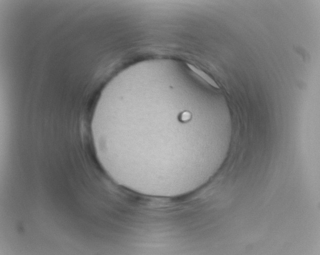 X0000115410720200911241328