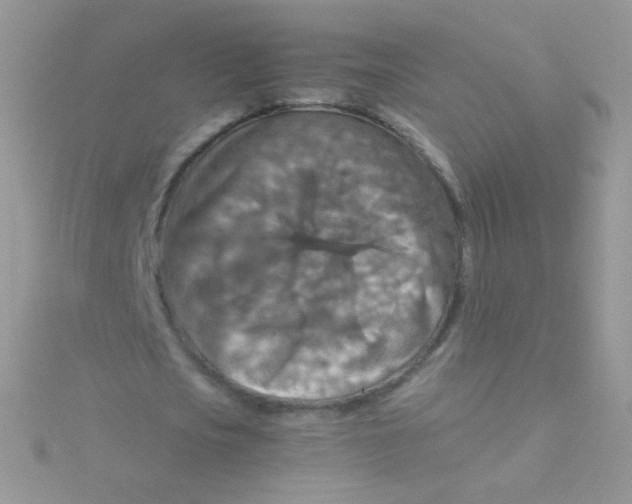 X0000115410721200911241327