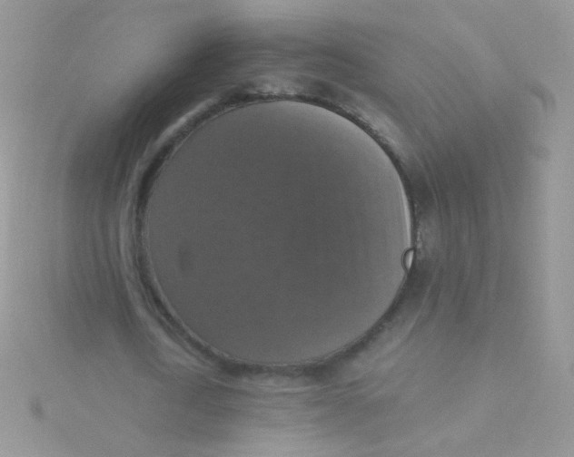 X0000115410722200911241327