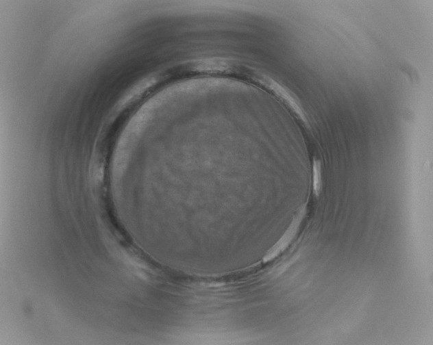 X0000115410723200911241327