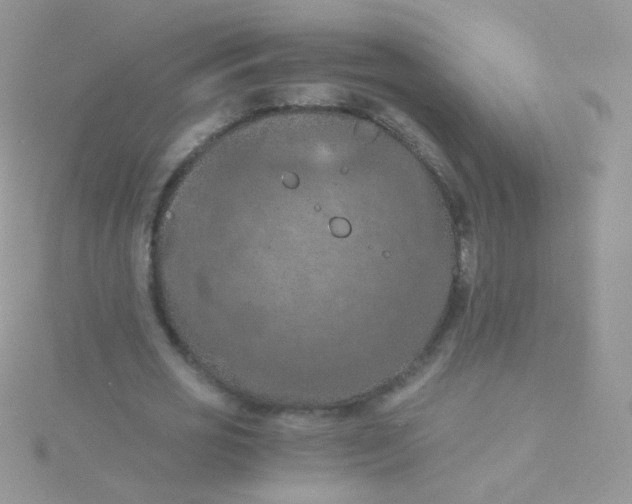 X0000115410725200911241327