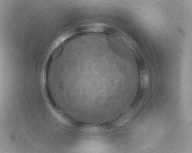 X0000115410726200911241327