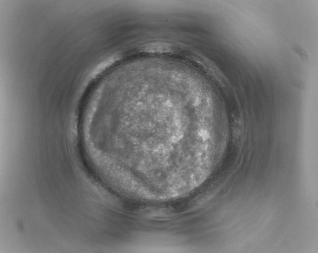 X0000115410727200911241327