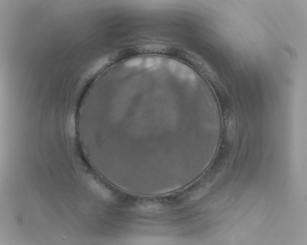 X0000115410729200911241327