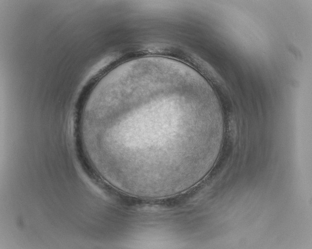 X0000115410730200911241327