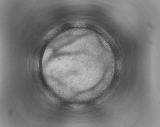 X0000115410733200911241327