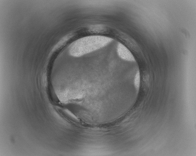 X0000115410734200911241327