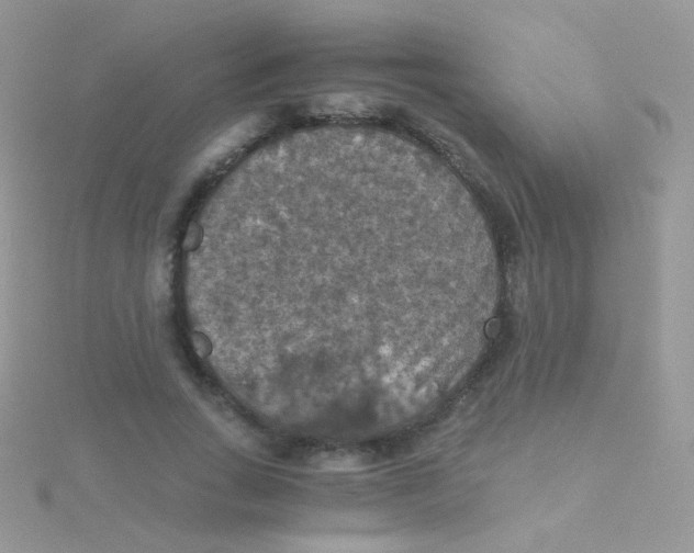 X0000115410735200911241327