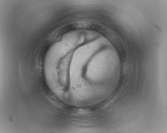 X0000115410737200911241327