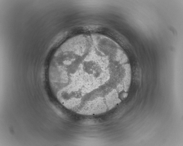 X0000115410738200911241327