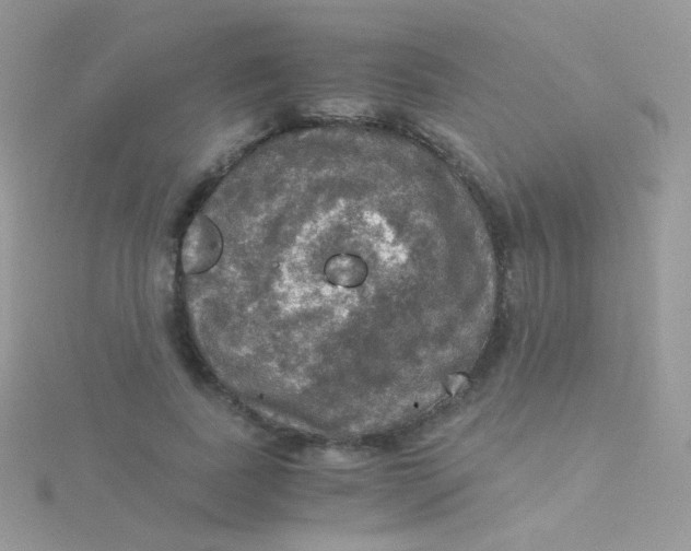 X0000115410739200911241327