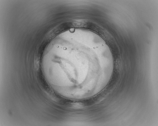 X0000115410741200911241327