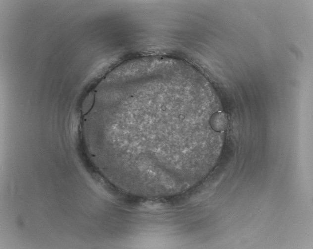 X0000115410742200911241327