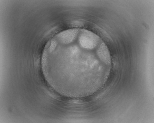 X0000115410745200911241327