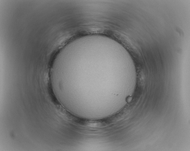 X0000115410746200911241327