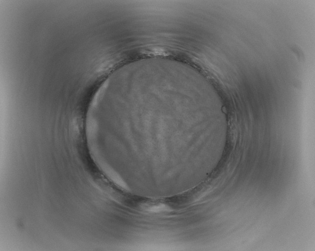 X0000115410747200911241327