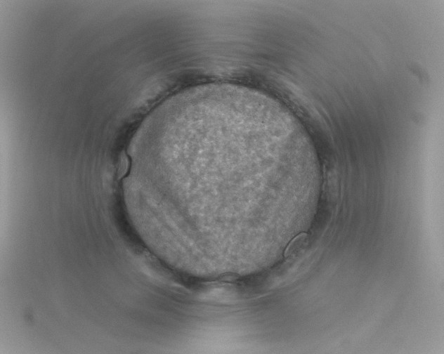 X0000115410750200911241327