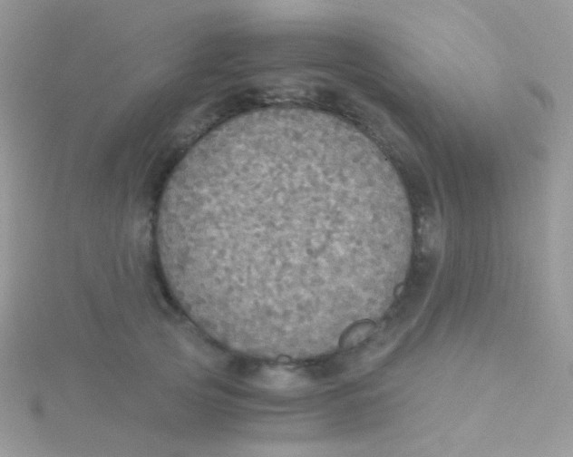 X0000115410753200911241327