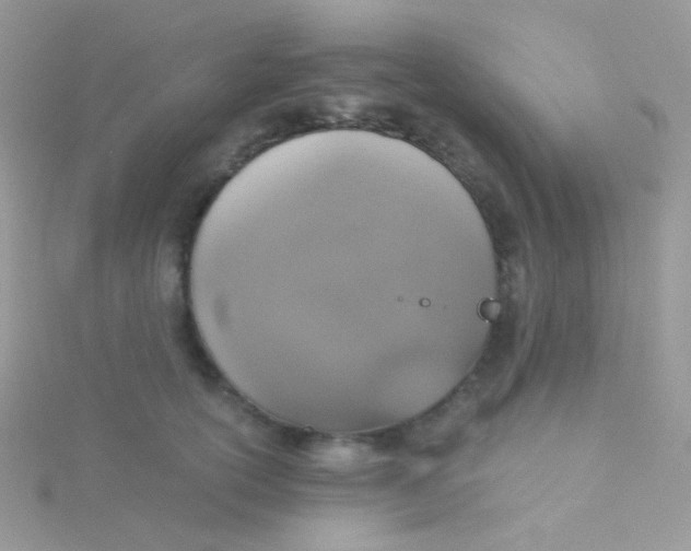 X0000115410754200911241327