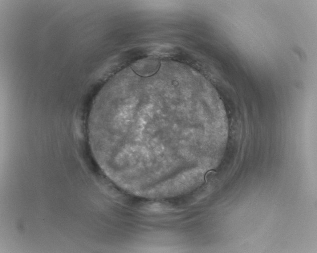 X0000115410755200911241327