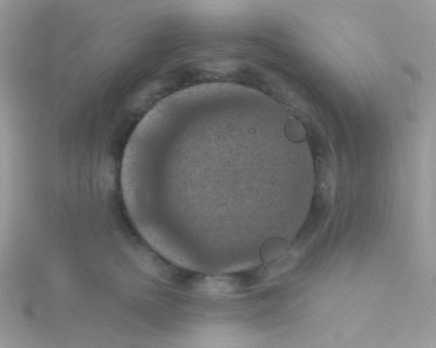 X0000115410758200911241327