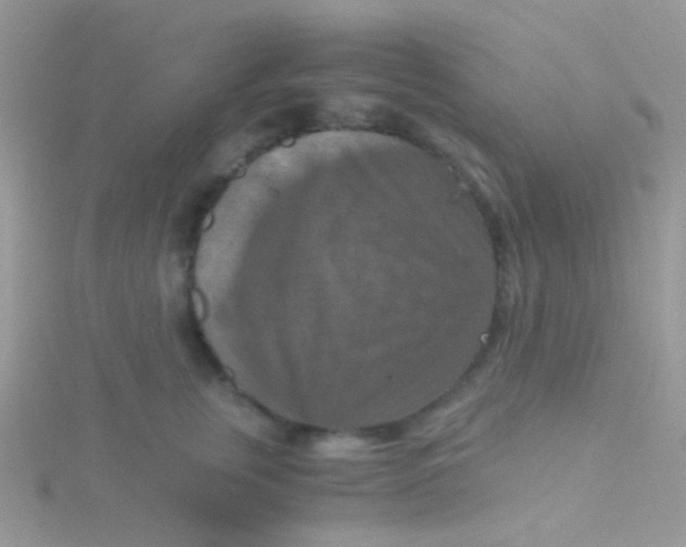 X0000115410759200911241327