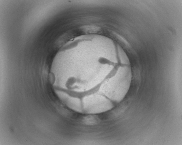 X0000115410761200911241327