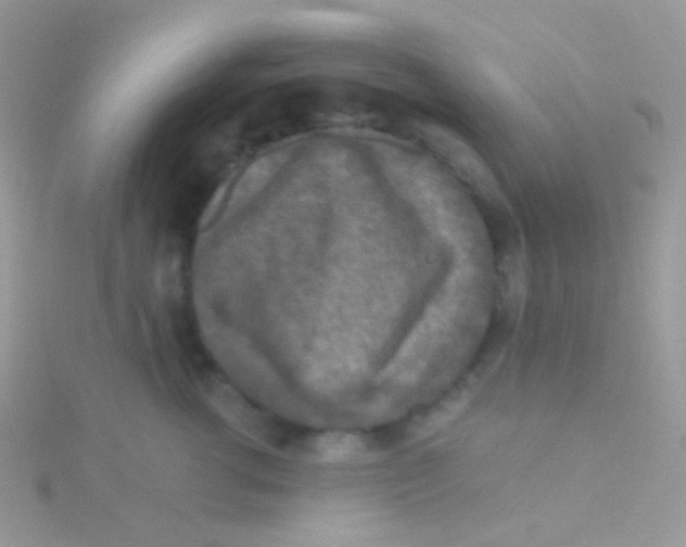 X0000115410762200911241327