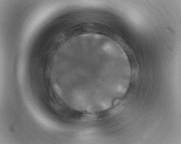 X0000115410765200911241328