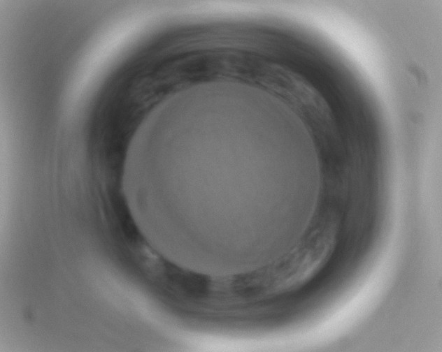 X0000115410766200911241328