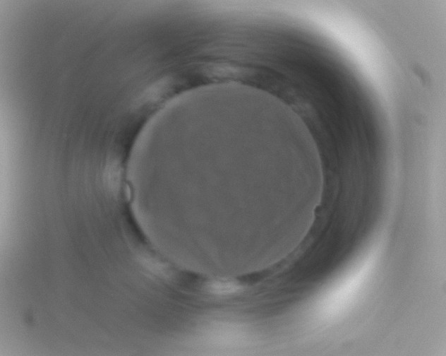 X0000115410767200911241328