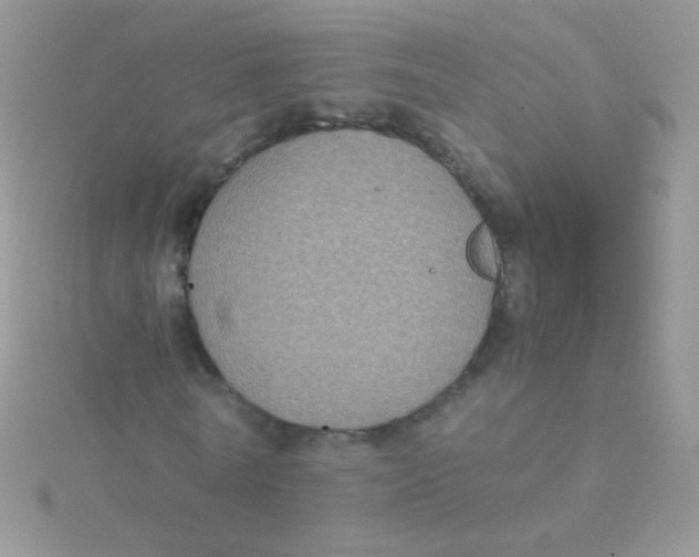 X0000115410770200911241327