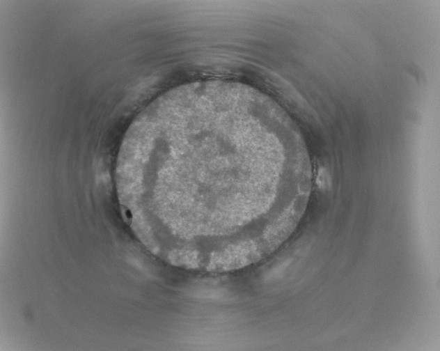 X0000115410771200911241327