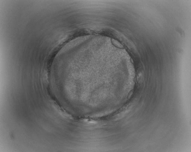 X0000115410772200911241327