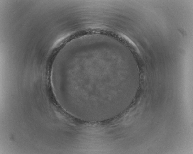 X0000115410775200911241327