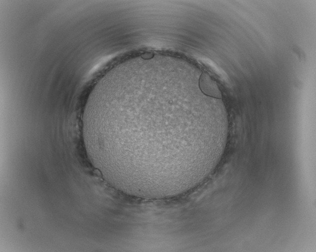 X0000115410776200911241327