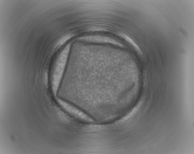 X0000115410777200911241327