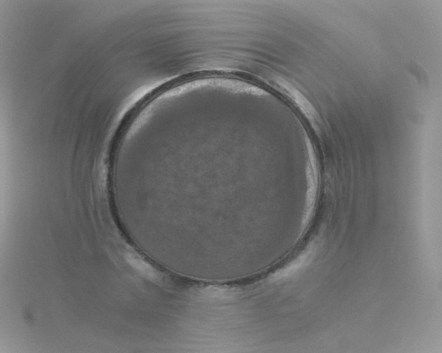 X0000115410779200911241327