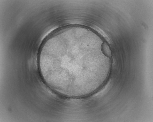 X0000115410782200911241327