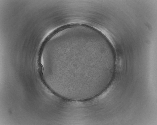 X0000115410783200911241327