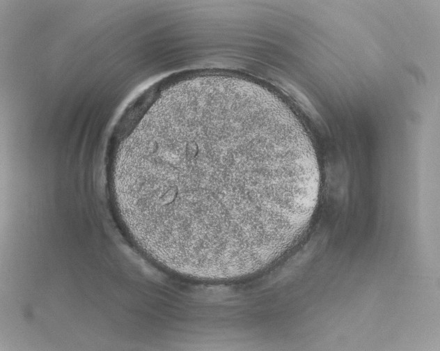 X0000115410784200911241327