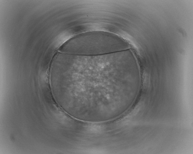 X0000115410785200911241327