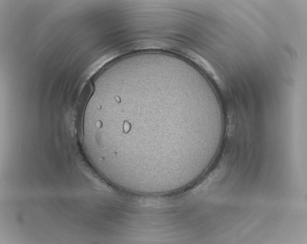 X0000115410786200911241327