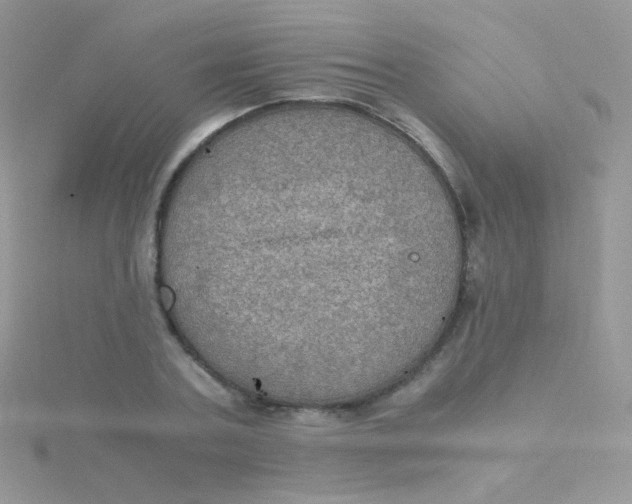 X0000115410787200911241327