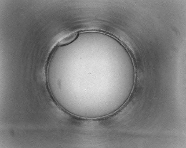 X0000115410789200911241327