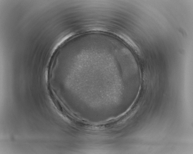 X0000115410790200911241327