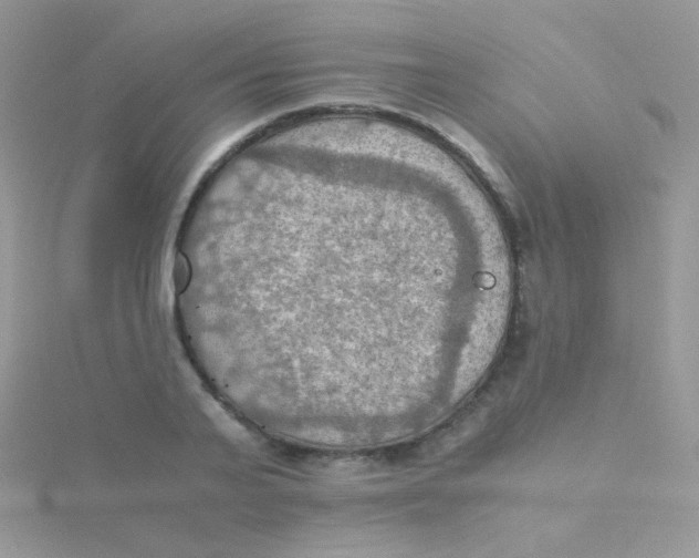 X0000115410791200911241327